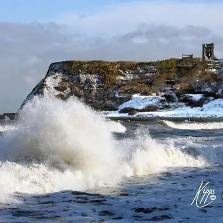 Lovely Semi-beach 2x Pubs -5 Min Walk-pets Welcome-parking-garden 度假居 Scalby (North Yorkshire)